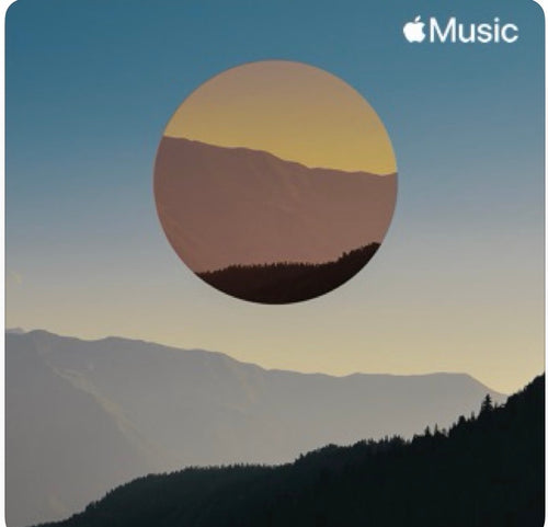 Acoustic Chill
